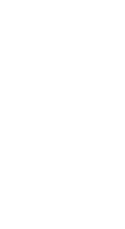 logo boaty